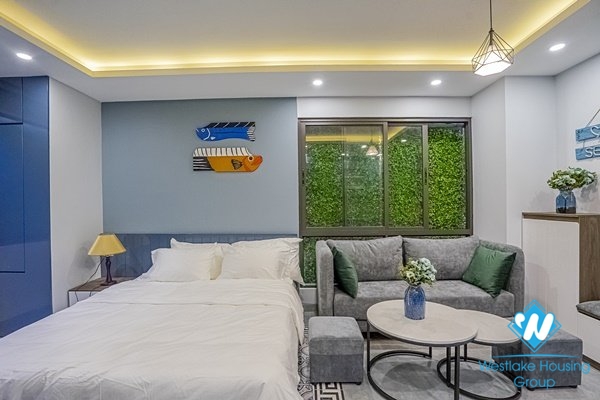 Stunning studio for rent in Hoan Kiem